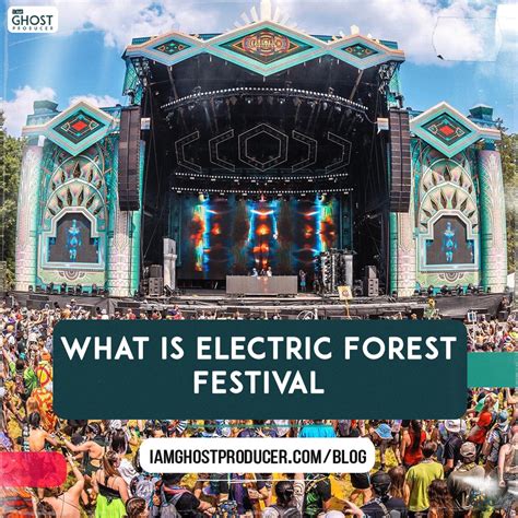 does electric forest send a box|Electric Forest .